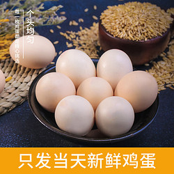 【5人团】晋龙40枚新鲜鸡蛋出口级(约4斤单枚平均50g)一箱整箱批发价包邮 26.9元